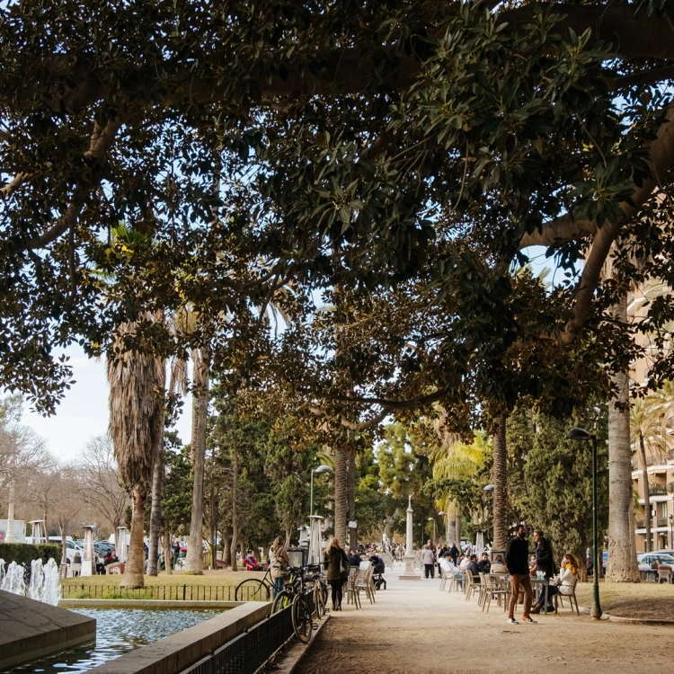 Imagen relacionada de mejoras paseo alameda valencia