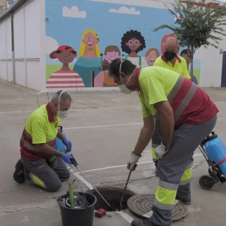 Imagen relacionada de sevilla control plagas colegios