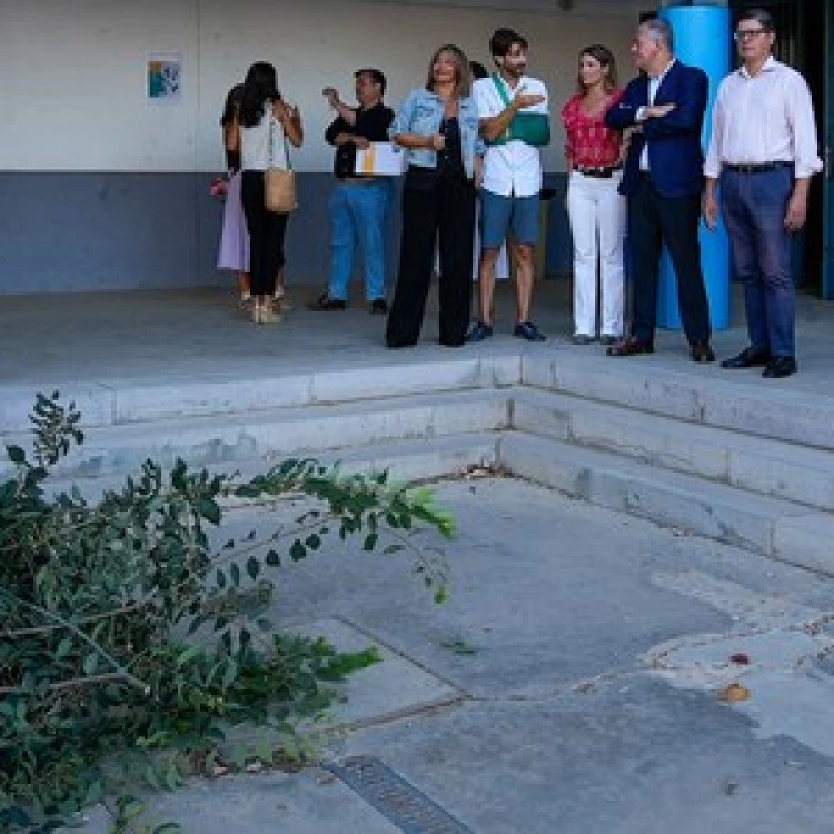 Imagen relacionada de mantenimiento arbolado sevilla