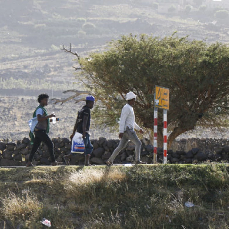 Imagen relacionada de guardias fronterizos saudies acusados usar fuerza letal migrantes africanos