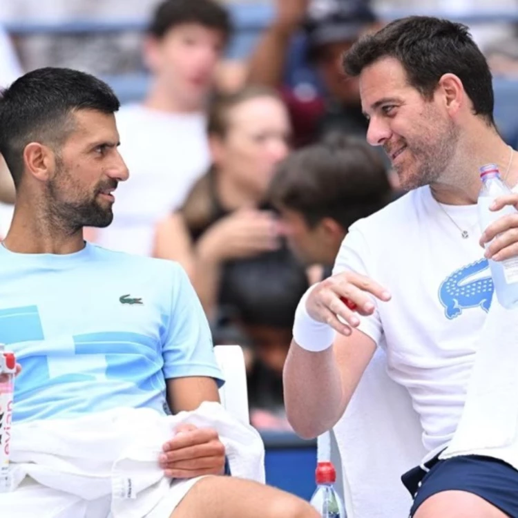 Imagen relacionada de del potro despedida djokovic argentina