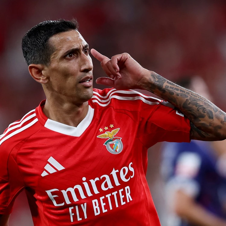 Imagen relacionada de angel di maria brilla benfica victoria