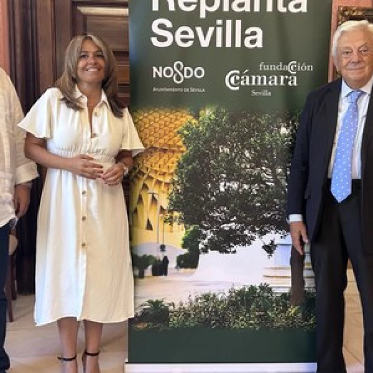 Imagen relacionada de sevilla replanta nuevas empresas reforestacion