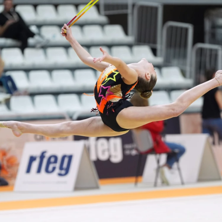 Imagen relacionada de torneo nacional gimnasia 2024