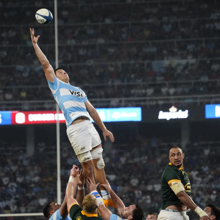 Imagen relacionada de los pumas buscan primer titulo rugby championship sudafrica