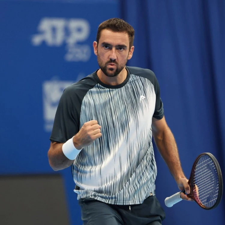 Imagen relacionada de marin cilic busca consagrarse tras superar dificultades