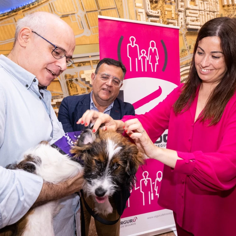 Imagen relacionada de entregan donacion a fundacion canem en ayuntamiento zaragoza