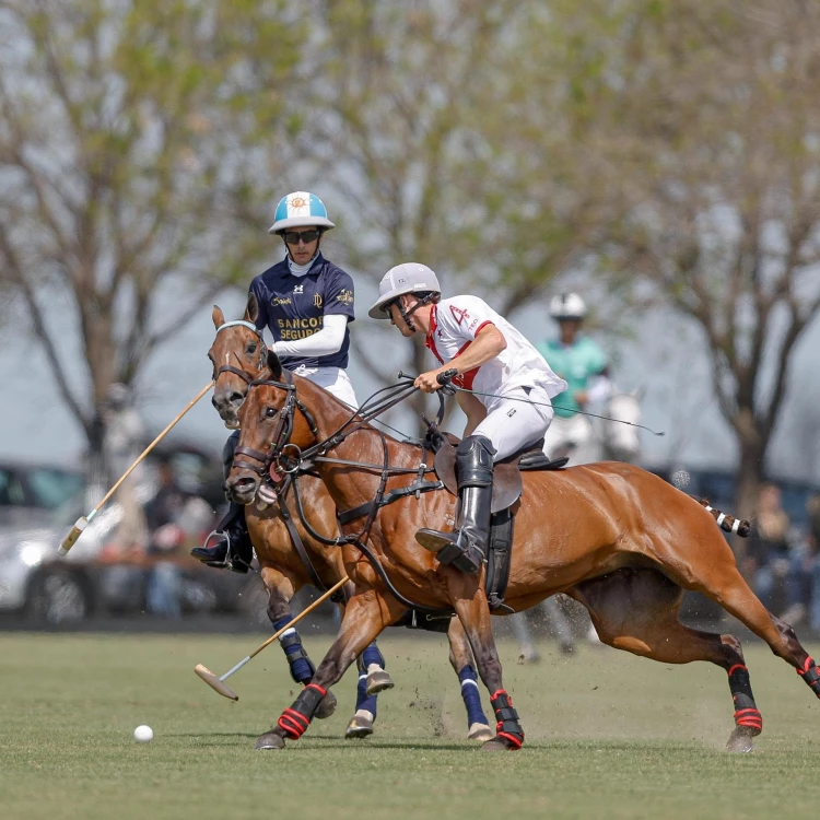 Imagen relacionada de la dolfina semifinales abierto hurlingham