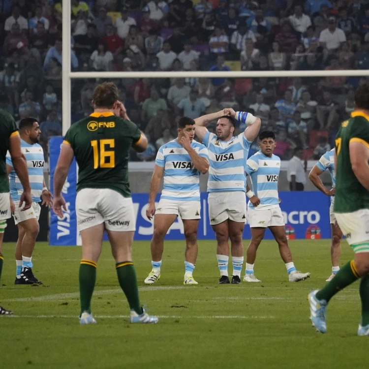 Imagen relacionada de sudafrica preparacion argentina rugby championship