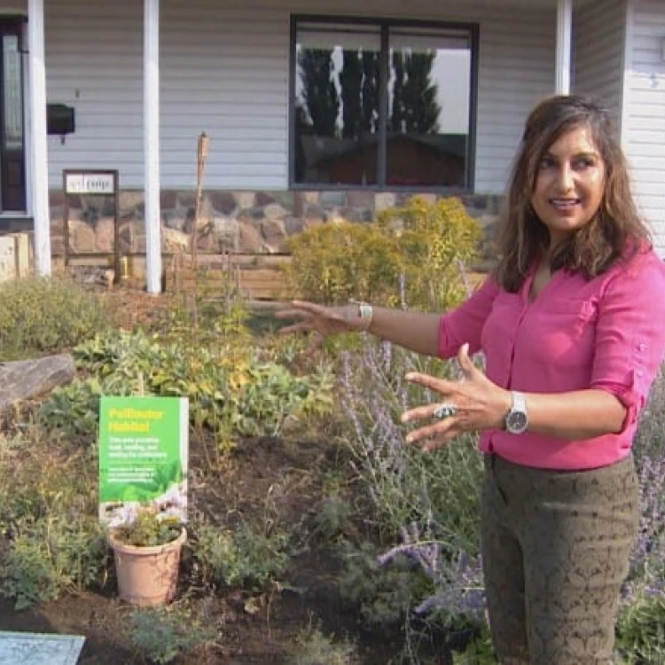 Imagen relacionada de residente saskatoon recibe multa plantas altas jardin polinizadores