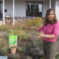 Imagen relacionada de residente saskatoon recibe multa plantas altas jardin polinizadores