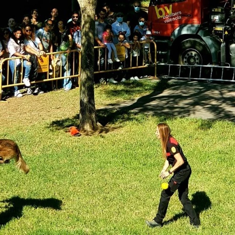 Imagen relacionada de feria animales valencia bienestar