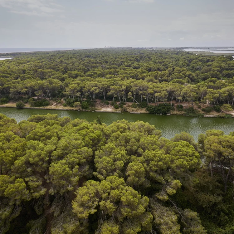 Imagen relacionada de valencia candidatura albufera reserva biosfera