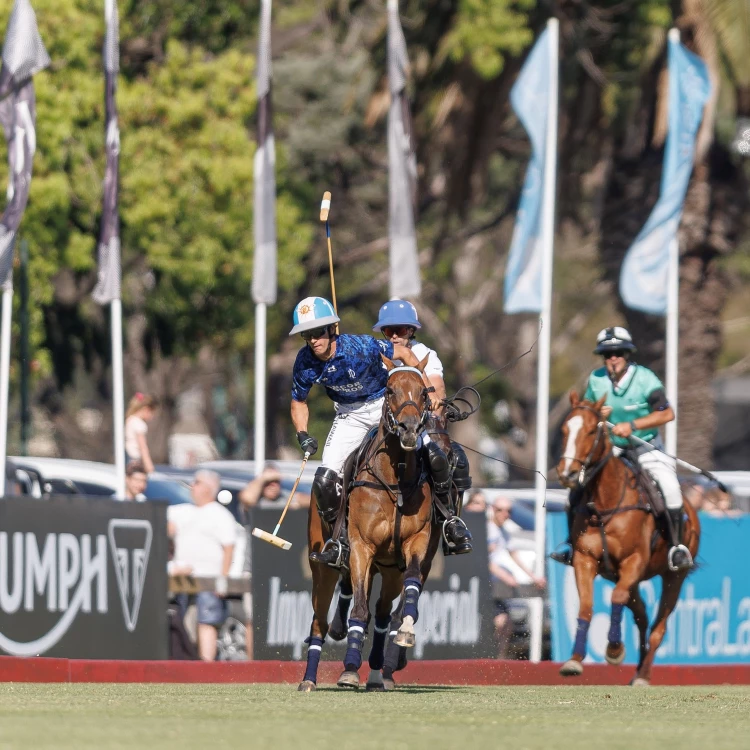 Imagen relacionada de la dolfina y la natividad final abierto hurlingham 2024