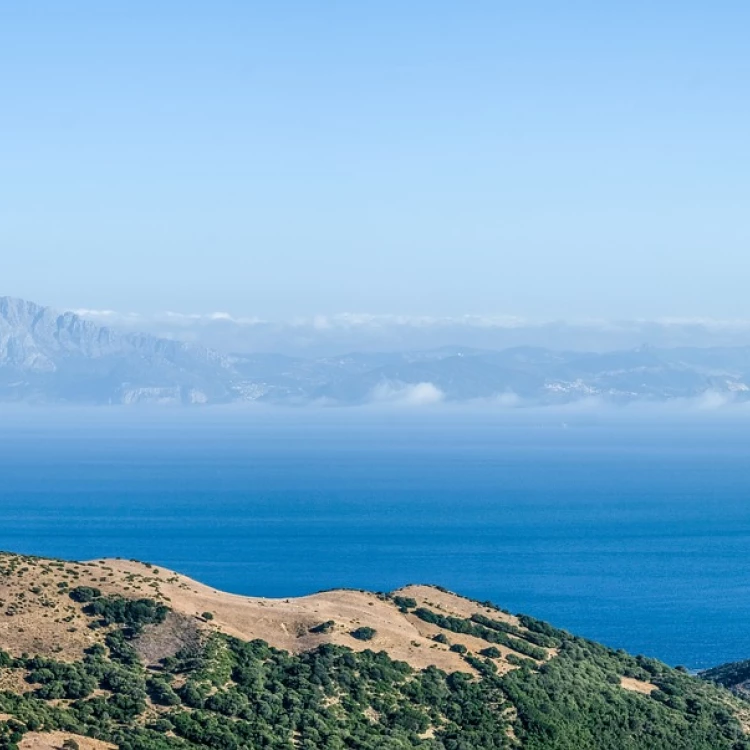 Imagen relacionada de ayudas agua campo gibraltar 2024