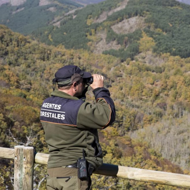 Imagen relacionada de inversion 500000 euros central comunicaciones cuerpo agentes forestales madrid