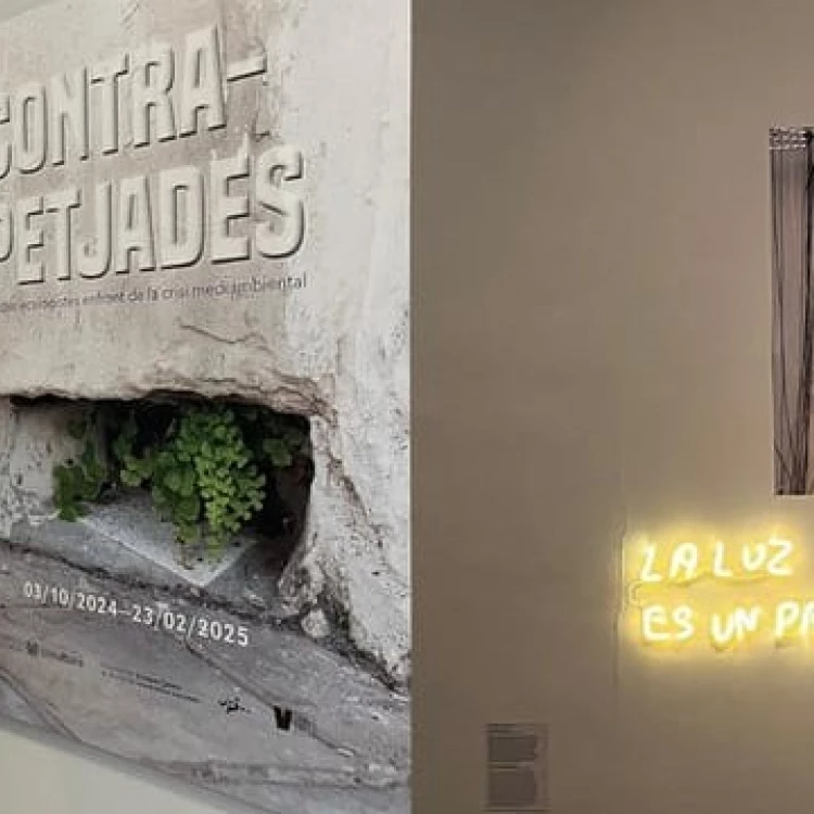 Imagen relacionada de valencia exposicion contra huellas arte ecologia