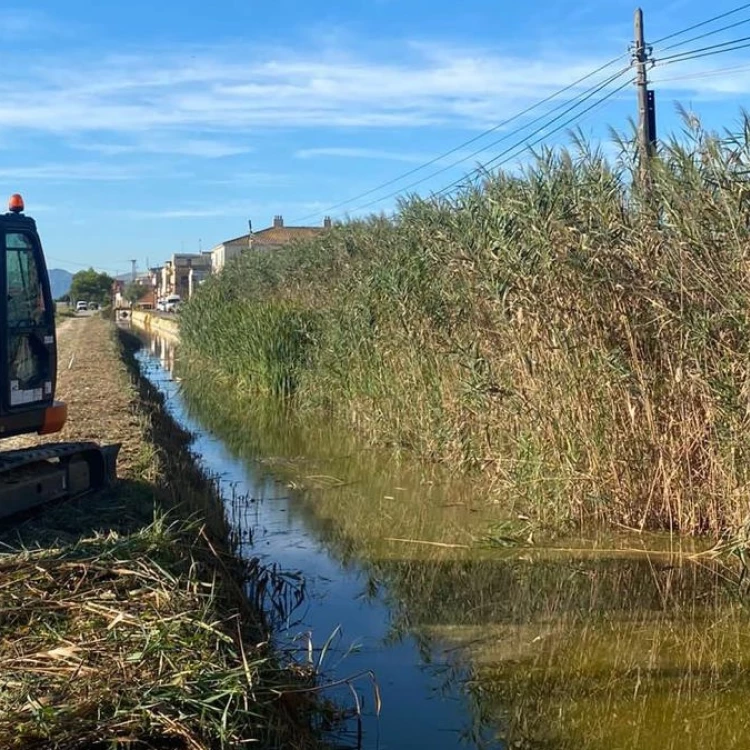 Imagen relacionada de mantenimiento limpieza canal les escoletes palmar