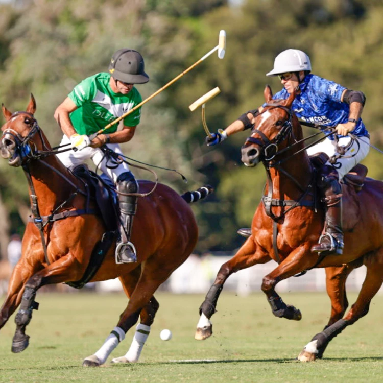 Imagen relacionada de la natividad campeon abierto hurlingham