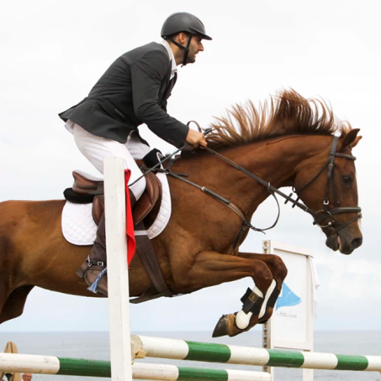 Imagen relacionada de concurso salto obstaculos la coruna