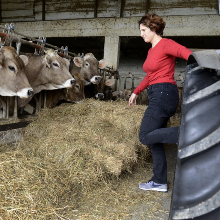 Imagen relacionada de igualdad genero mujeres rurales euskadi