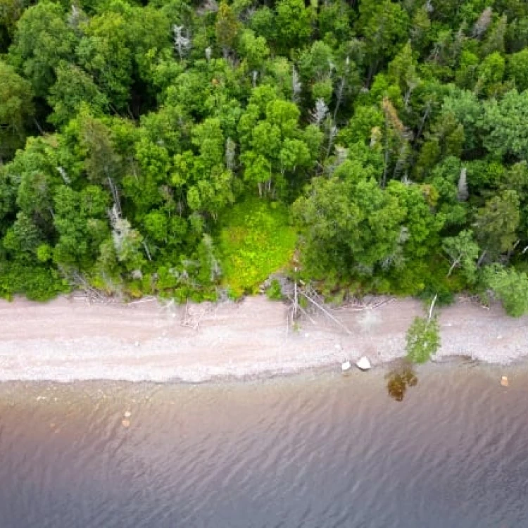 Imagen relacionada de descubren artefactos valiosos cerca de sitio beothuk newfoundland