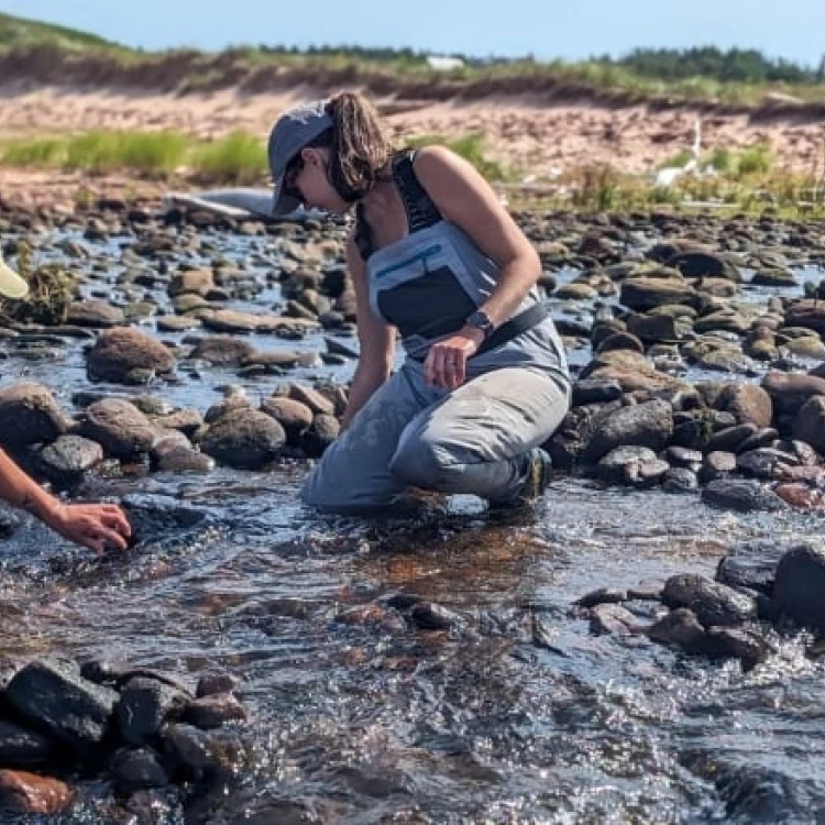 Imagen relacionada de proyecto cuenca hidrografica impulsa arroyos salmon pei