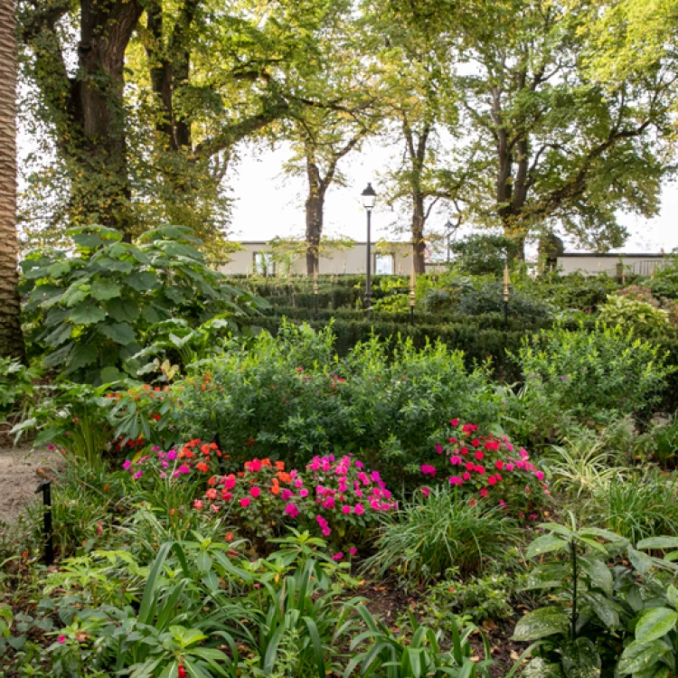 Imagen relacionada de recuperacion jardin san carlos coruña