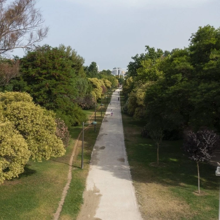 Imagen relacionada de valencia accesibilidad turistica ruta rio verde