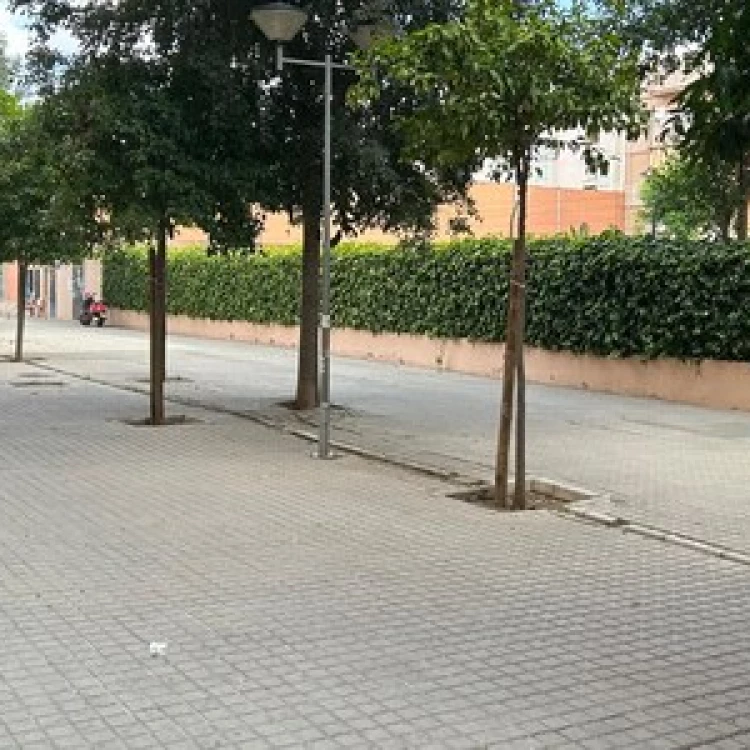 Imagen relacionada de reurbanizacion calle taegu sevilla este