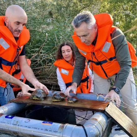 Imagen relacionada de comunidad madrid especies invasoras parque regional sureste