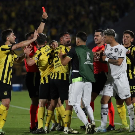 Imagen relacionada de penarol se despide de la libertadores con un triunfo ante botafogo