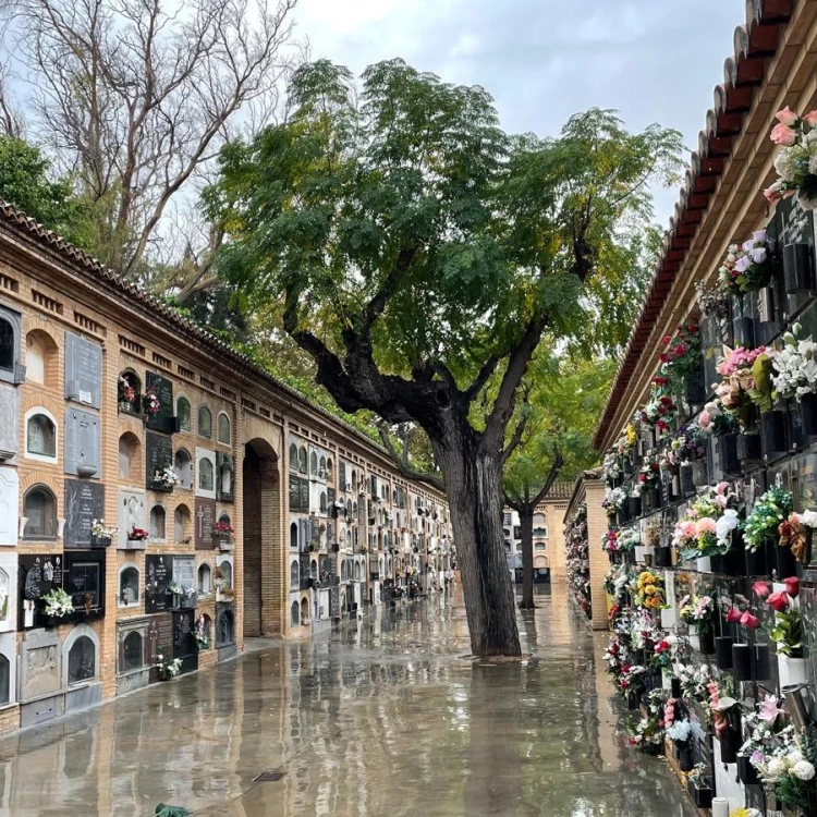 Imagen relacionada de cementerios valencia dia todos los santos