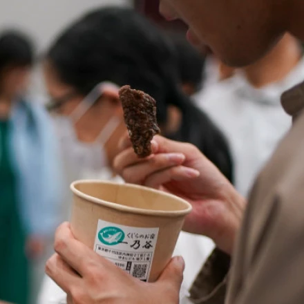 Imagen relacionada de estudiantes tokio consumo carne ballena