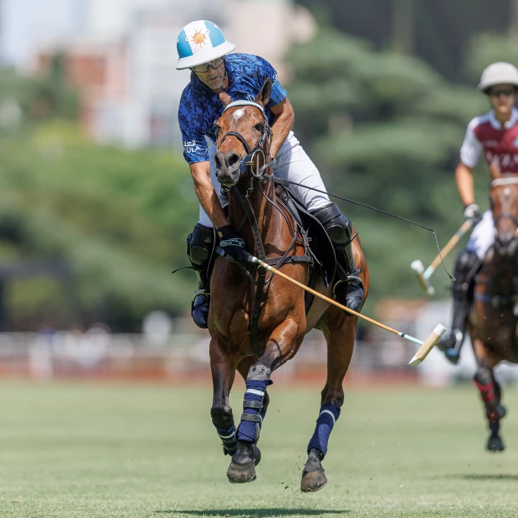 Imagen relacionada de adolf cambiaso record argentino abierto