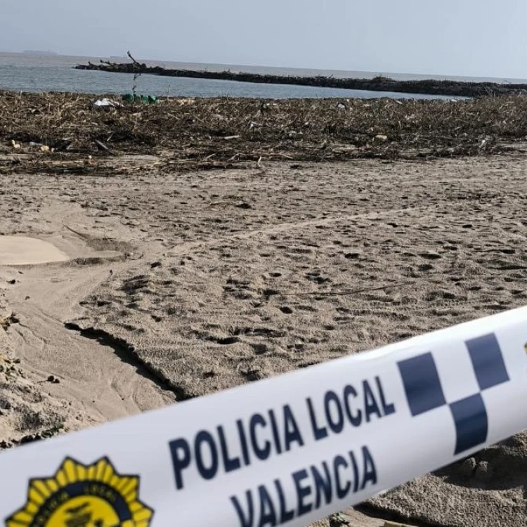 Imagen relacionada de cierre temporal playas valencia limpieza