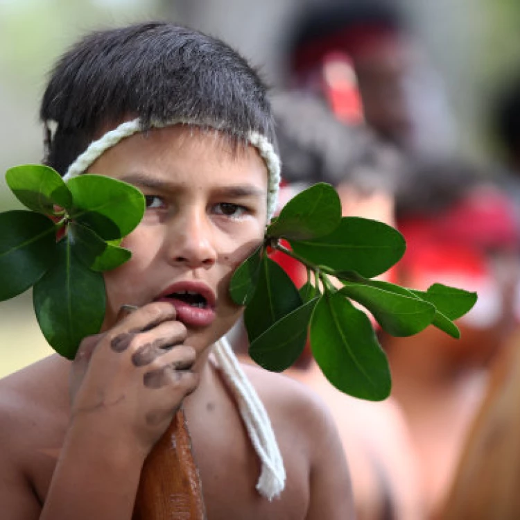 Imagen relacionada de nueva legislacion nueva zelanda tratado waitangi