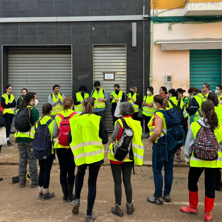 Imagen relacionada de colaboracion universitaria ayuda domicilio valencia