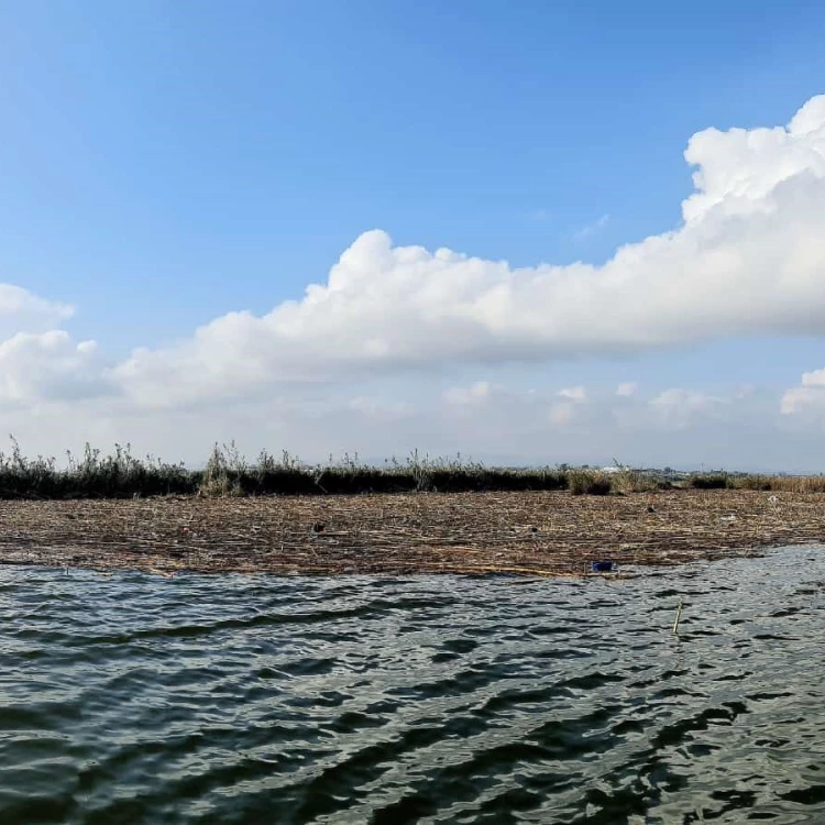 Imagen relacionada de prohibicion navegacion albufera daños riada