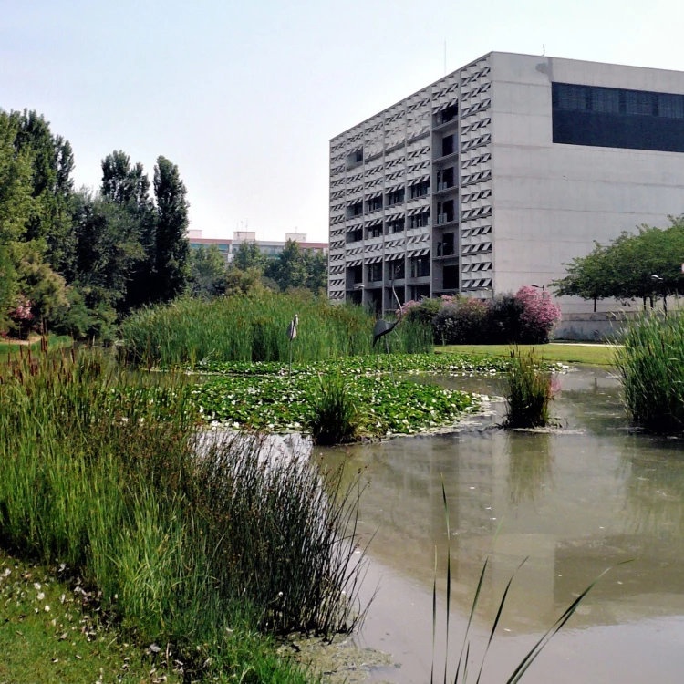 Imagen relacionada de mejora acera parque rambleta valencia