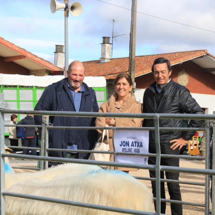 Imagen relacionada de feria san martin santa cruz kanpetzu