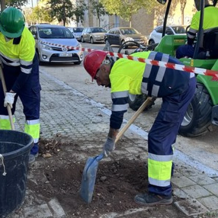 Imagen relacionada de sevilla campana reforestacion 2024 2025