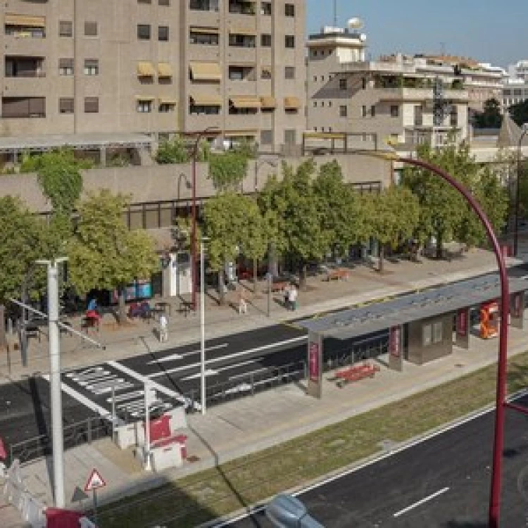 Imagen relacionada de ayuntamiento sevilla ayudas negocios obrass tramvia