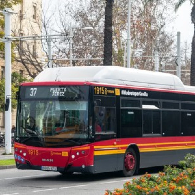 Imagen relacionada de incremento demanda transporte sevilla octubre