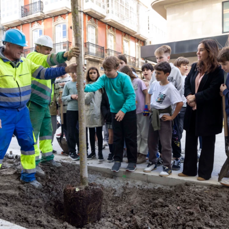 Imagen relacionada de plantacion arboles san andres la coruna