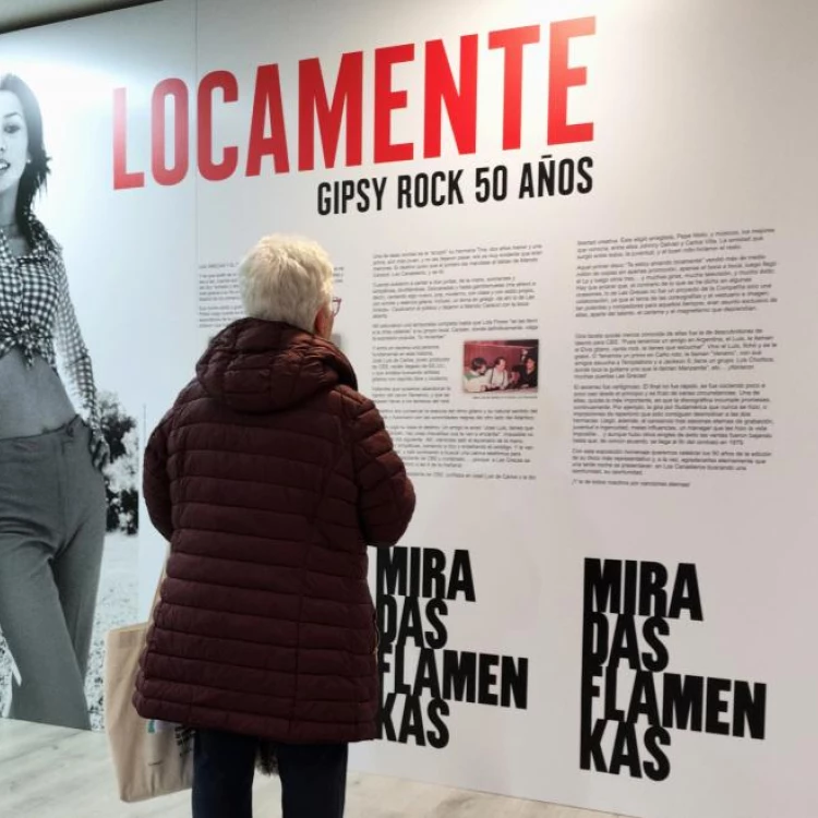 Imagen relacionada de dia del flamenco las grecas madrid