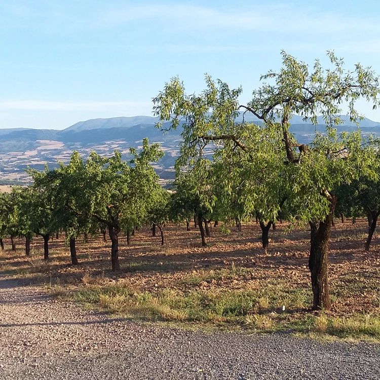 Imagen relacionada de medida en cataluna para frenar la despoblacion y favorecer la soberania alimentaria