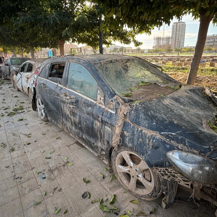 Imagen relacionada de policia local valencia retiracion vehiculos riada