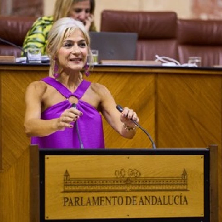 Imagen relacionada de sistema educativo andalucia plantilla record maestros profesores