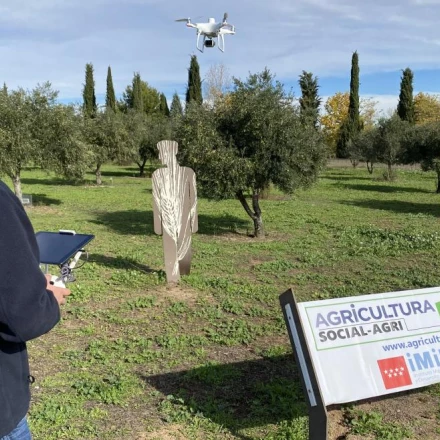 Imagen relacionada de comunidad madrid modernizacion agricola